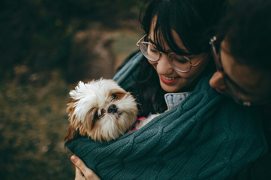 how do you know your pet loves you