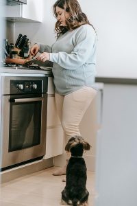 Homemade blueberry dog treats without flour