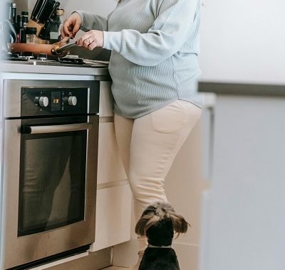 Homemade blueberry dog treats without flour