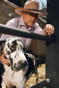 Training Techniques for Senior Dogs