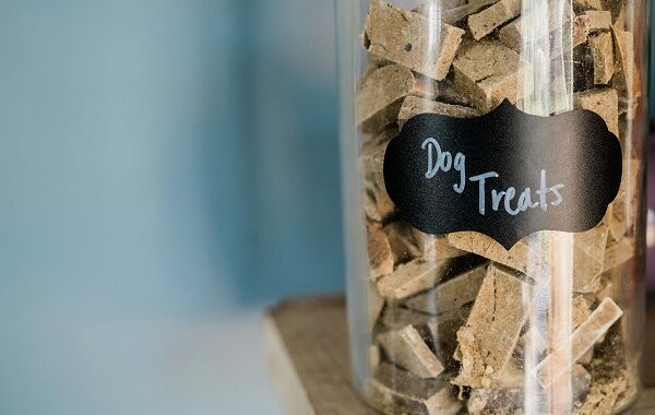 Homemade Pet Treats