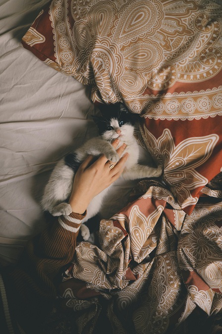 How Do You Know Your Pet Loves You