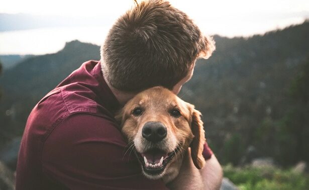 How do you know your pet loves you