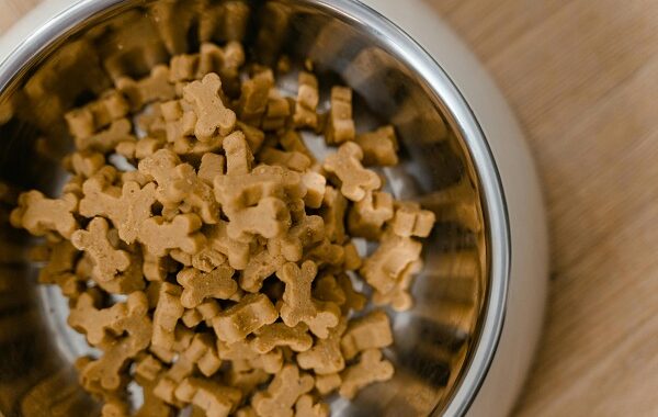 Pet Nutrition and Food Safety