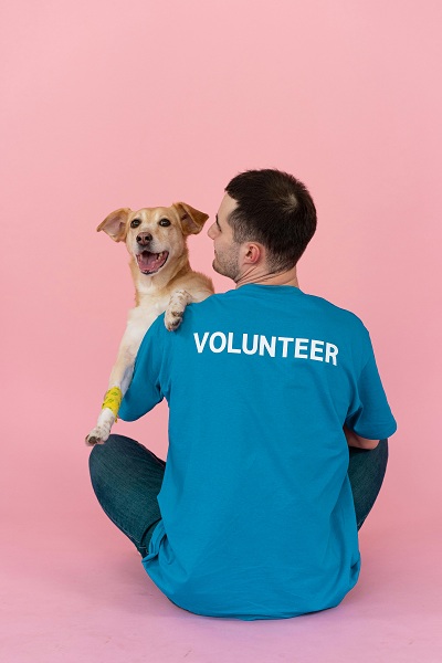 Pet Rescue and Adoption