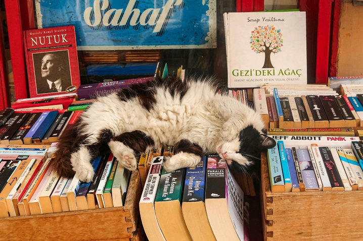 Pet Supplies Plus Pet Policy
