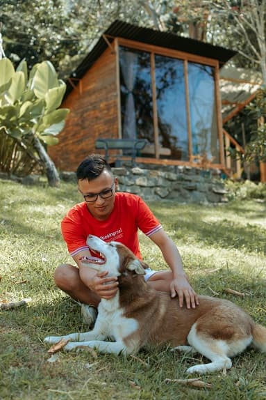 pet care services 