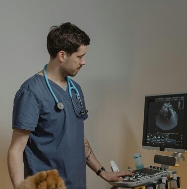 pet health and medical specialties